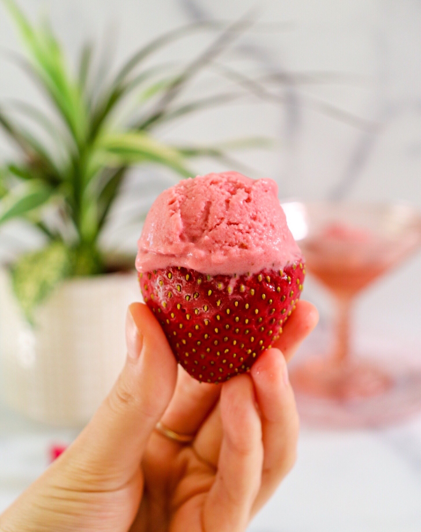 Homemade Vegan Strawberry Ice Cream - Daring Kitchen