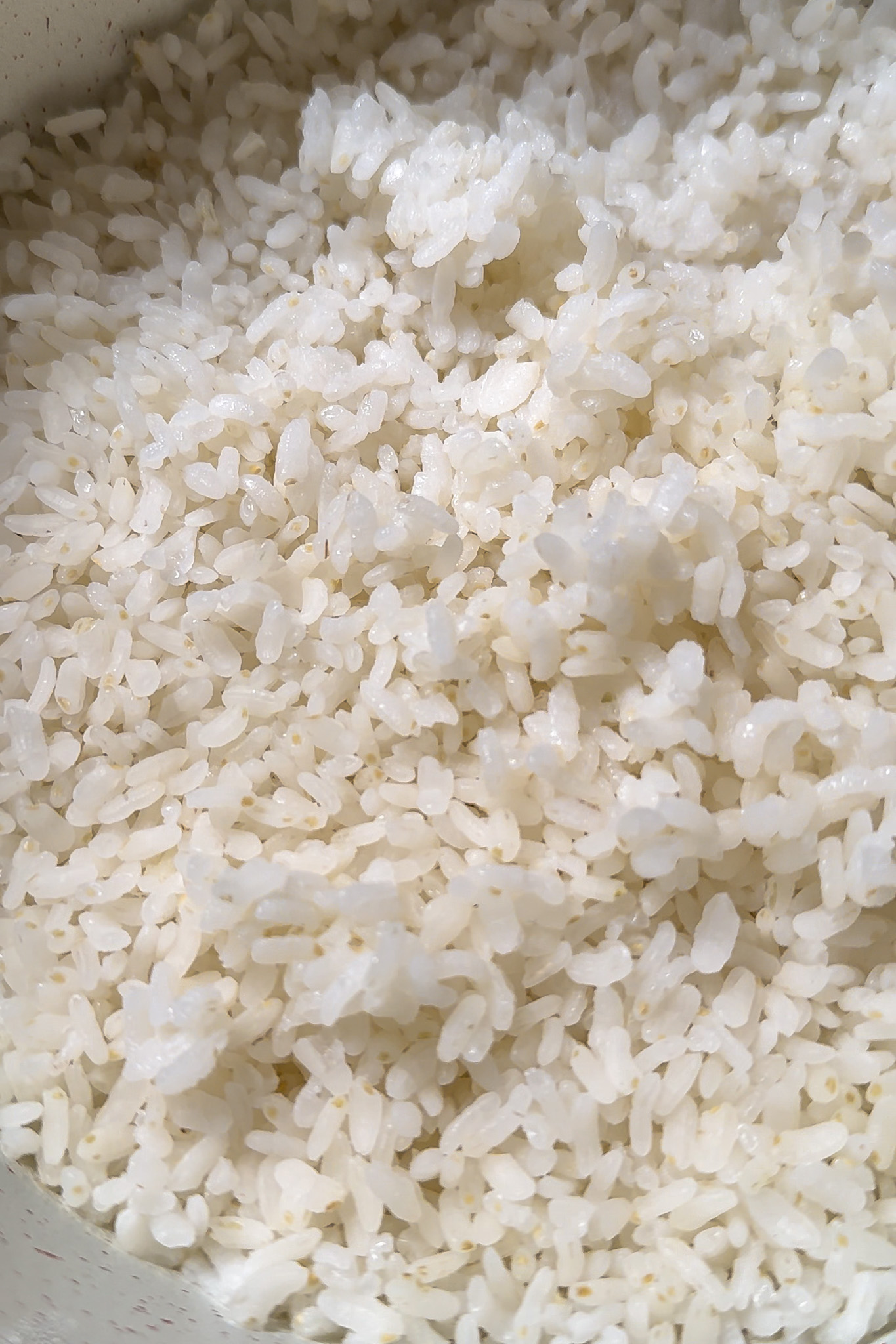 organic white sushi rice